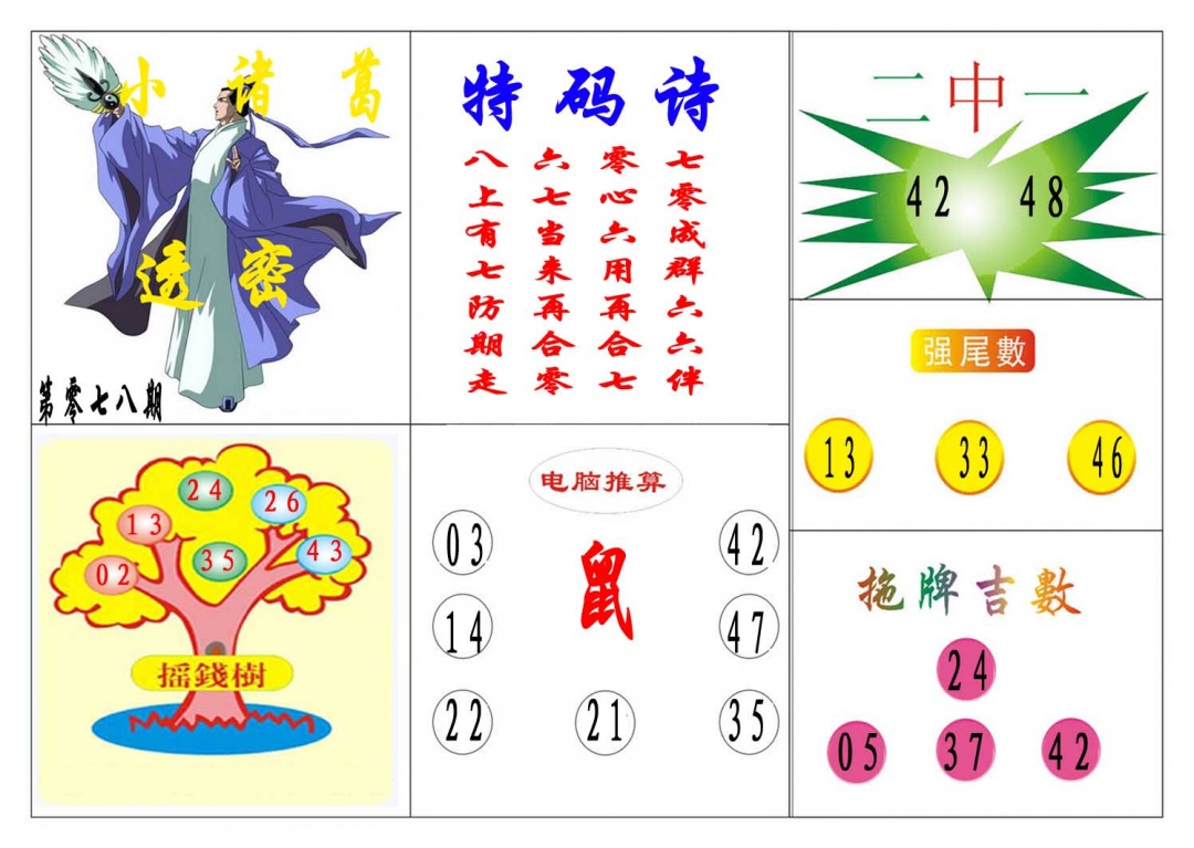 078期小诸葛[图]